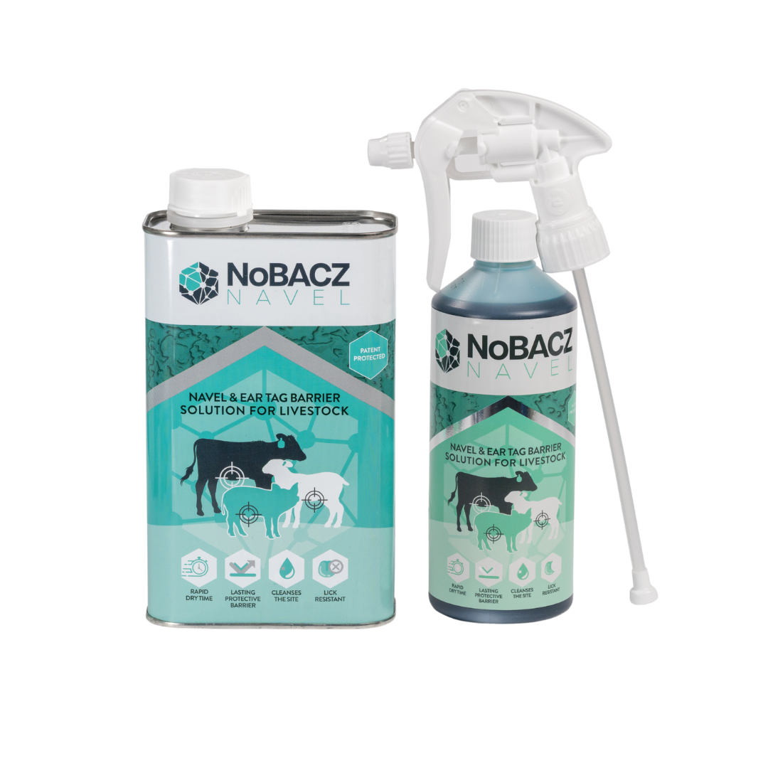 NoBacz Navel | NoBACZ
