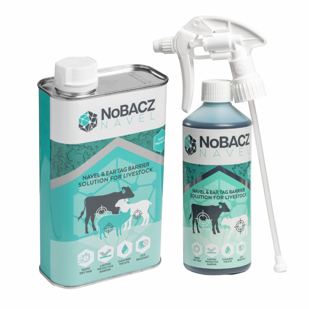 NoBacz Navel | NoBACZ